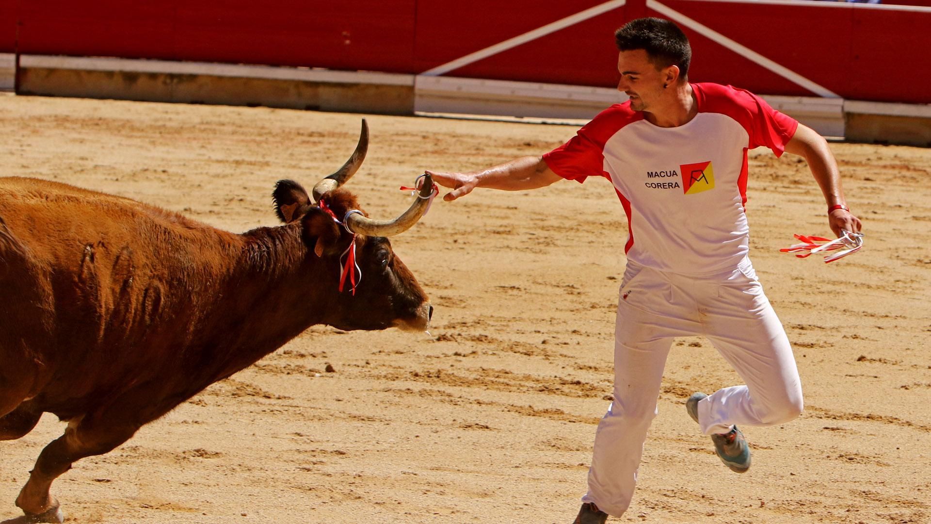 ENTRADAS CONCURSO DE ANILLAS CON TOROS - SAN FERMIN 2026