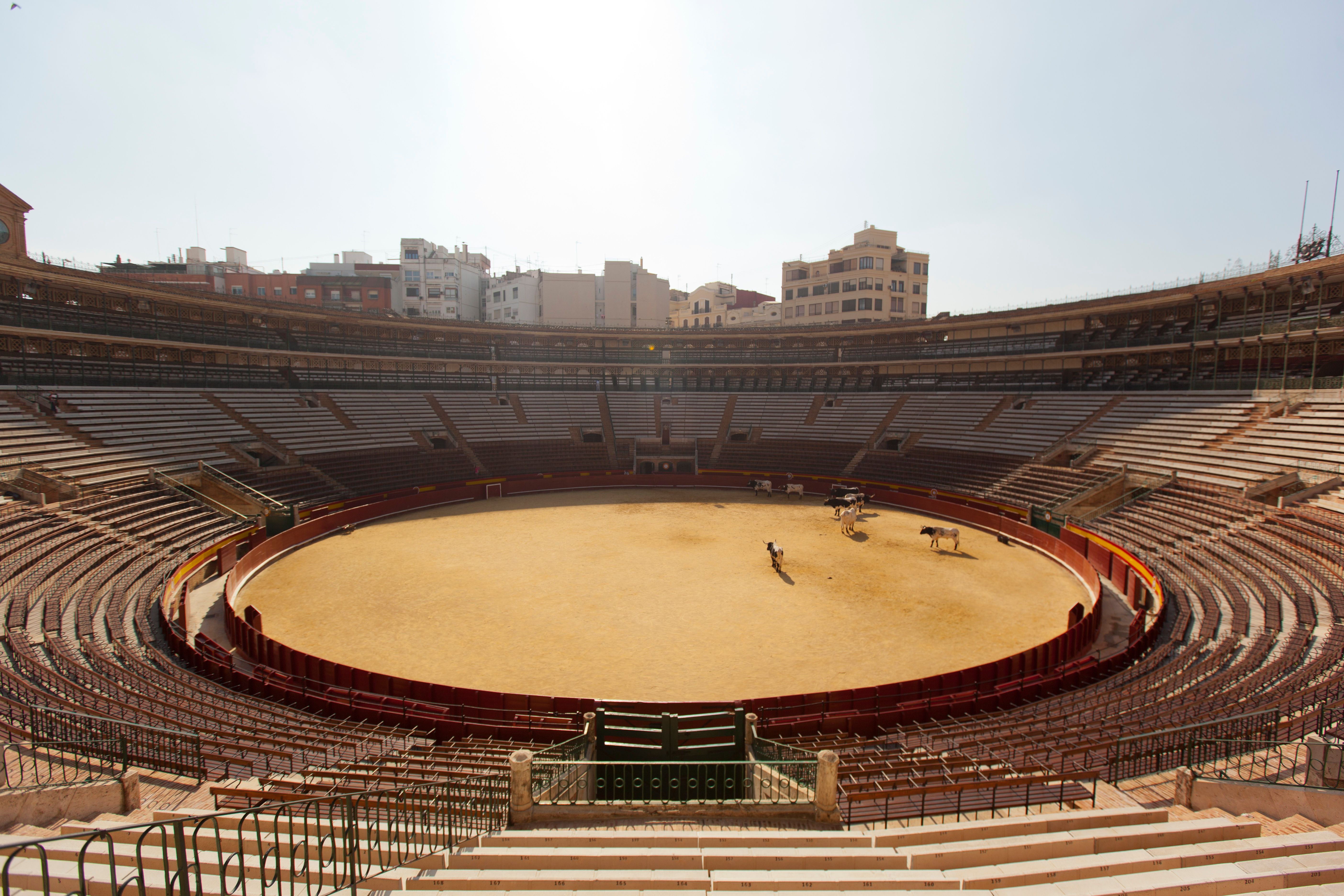 XXVIII CAMPEONATO NACIONAL DE RECORTADORES CON TOROS