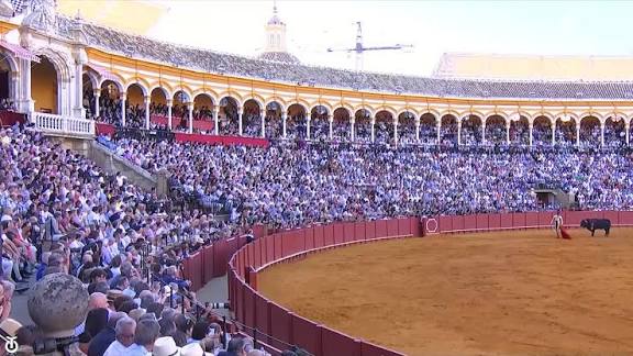 Seville will close the season with the festival promoted by Roca Rey to benefit the Brotherhood of the Star